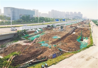 金灣“情侶路”綠化工程加速推進，航展前有望“迎客”