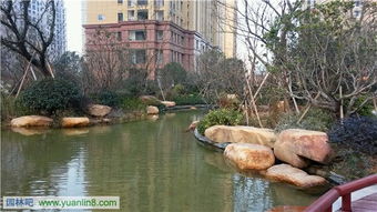 精品園林獎金獎項目 和協·風格尚品室外景觀及綠化工程的藝術與匠心